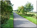 Country road near Walton Woodhead