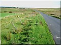 Tower Brae - the road to Bewcastle