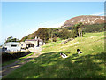 Plas Uchaf Farm