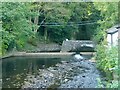 River Dulais, Vale of Neath