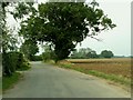 High Cross Lane, just west of Great Dunmow, Essex