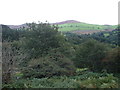 Looking towards Moel Cae-Howel