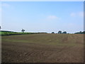 SE6854 : Farmland off the A166 by DS Pugh