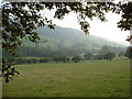 Farmland near the A494