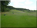 Second Hole, Aberfoyle Golf Course