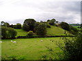 Hillside near Maerdy