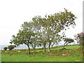 Farmland with Sea Views