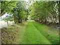 Bridleway in Llanelidan