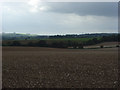 Farmland next to Ashley Drove