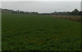 SU3062 : Farmland near Shalbourne by Andrew Smith