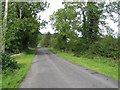 Road at Glendavagh