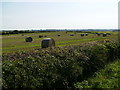 View south east over Blandsby Park