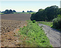 Track leading to Beechwood Farm