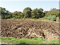 Ploughed field by Westfield Farm, Long Crendon