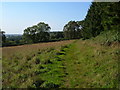 Yarcombe Footpath 26