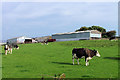 Farm buildings at Sionside