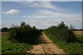 Bridleway to Rushbrook