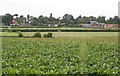 Fields and Farms near Ruddington