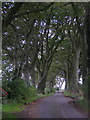 Country Road Near Pilmuir