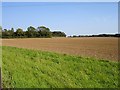 Field south of Squids Gate Lane