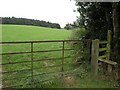 Footpath to the Common