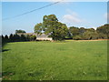 NZ3646 : Farmland at Little Eppleton Farm by GRAEME and LESLEY CRANSTON