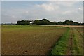 Footpath to Little London