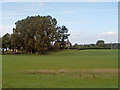 Muirside (farm), Dyke