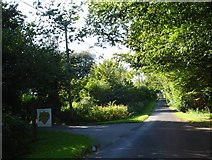 TR0050 : Green Lane, Challock by Penny Mayes