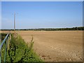 Harrowed field near Great Paddock Farm