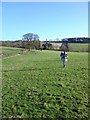 Pasture and Footpath to Nature reserve