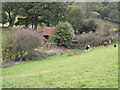 Tin roof and pasture land.