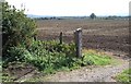 Between Bishopstone and Stone