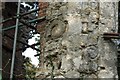 SP7611 : Ammonites at Dinton Castle by Rob Farrow