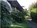 Cottage and lane, Dinton