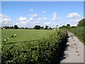 Road to Five Lanes Farm