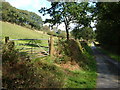 Lane near Kersford Quarry