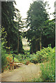 Gardens at Cragside