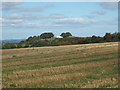 Farmland southwest of High Hill House