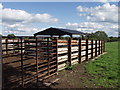 Livestock handling facility near Street Dinas