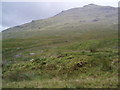 NN4219 : Munro View by Adam Ward