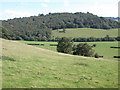 The Monnow valley