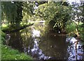 The River Derwent, West Ayton