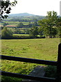 Footpath near Yarcombe