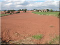 Farmland to the north of Llangattock Manor