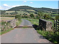 Farm road to Blackmoor Farm