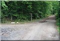 Junction of Sussex Border Path and track into Thirds Copse