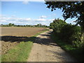 Access Track near Hollins House