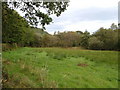 Field near Watergate Cross