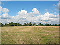 View towards Gonsley Green Farm